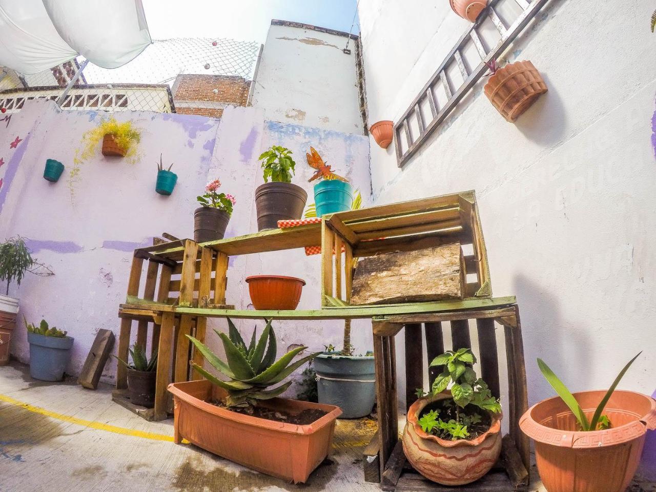 Casa Papa Chango San Cristóbal de Las Casas Esterno foto